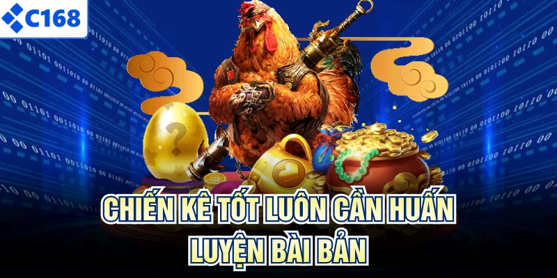 Chiến kê tốt luôn cần huấn luyện bài bản