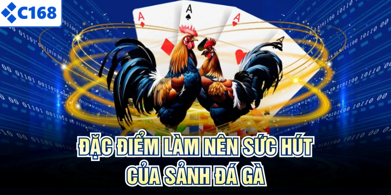 Đặc điểm làm nên sức hút của sảnh đá gà