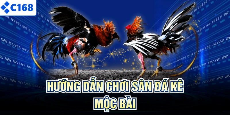 Hướng dẫn chơi sân đá kê Mộc Bài