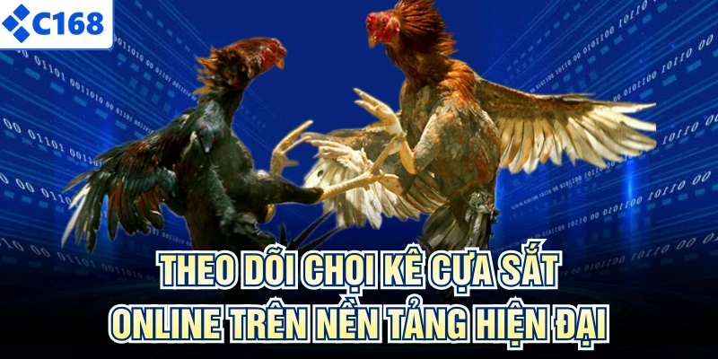 Theo dõi chọi kê cựa sắt online trên nền tảng hiện đại